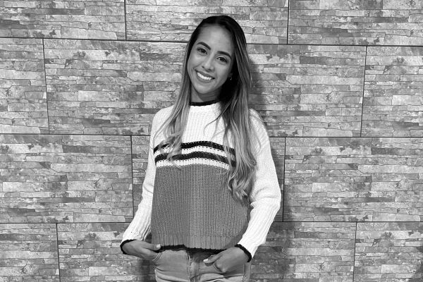 User Interface Designer