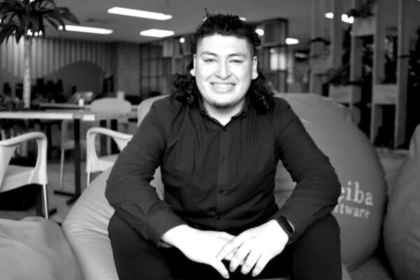 Architect Developer IPA