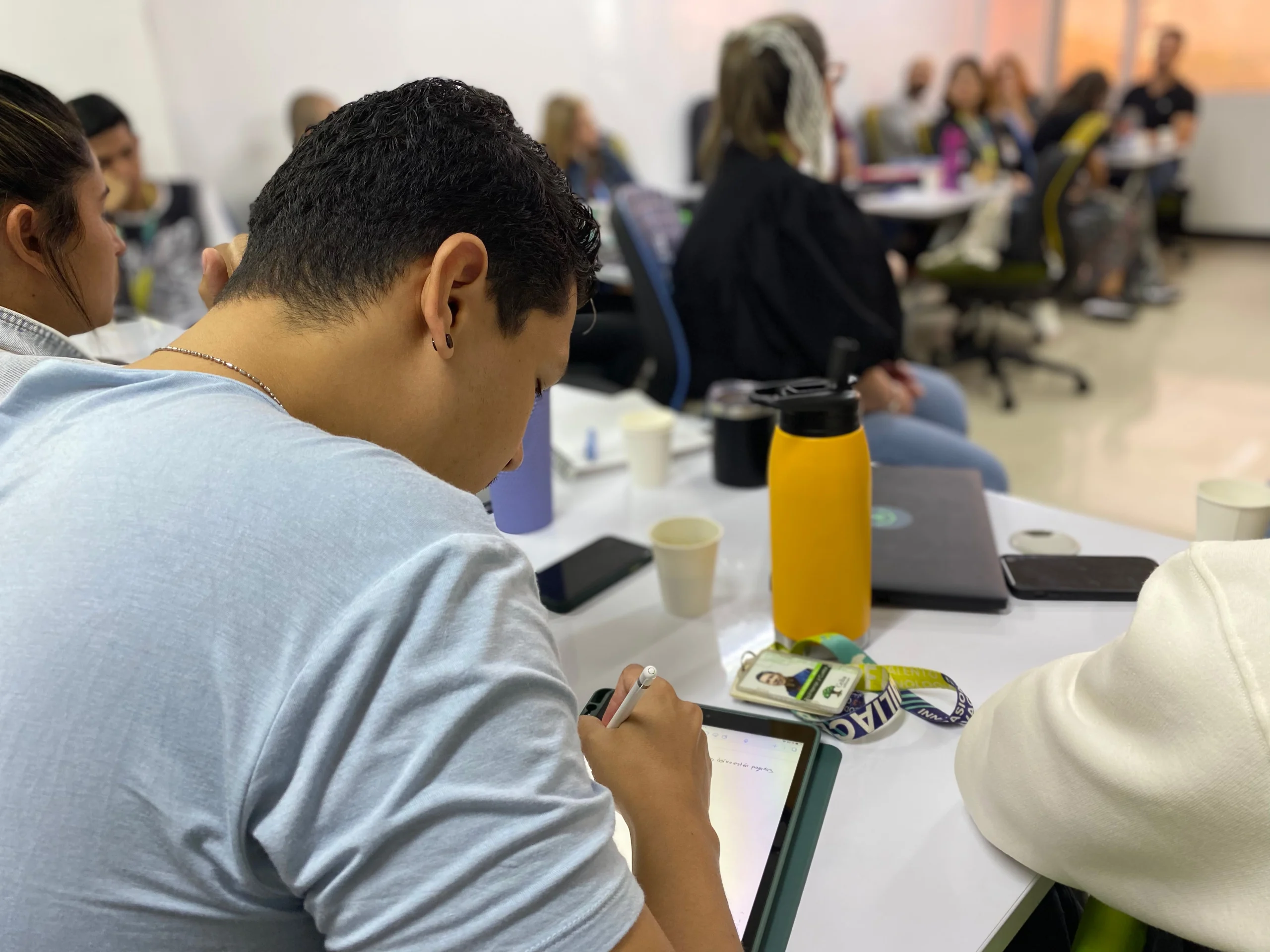 skills software developer