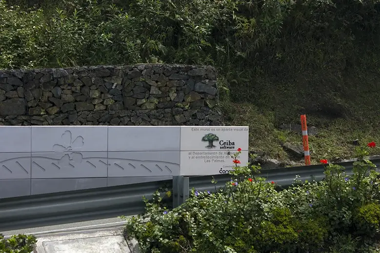 Mural de Ceiba en vía las Palmas 5