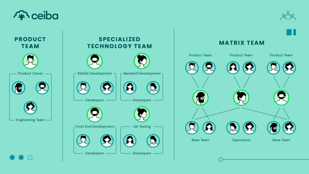 Specialized-Technology-Team-Model