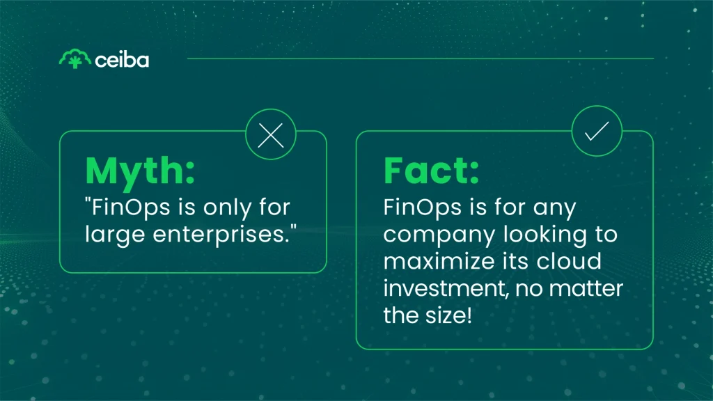 FinOps for Enterprises Vendor